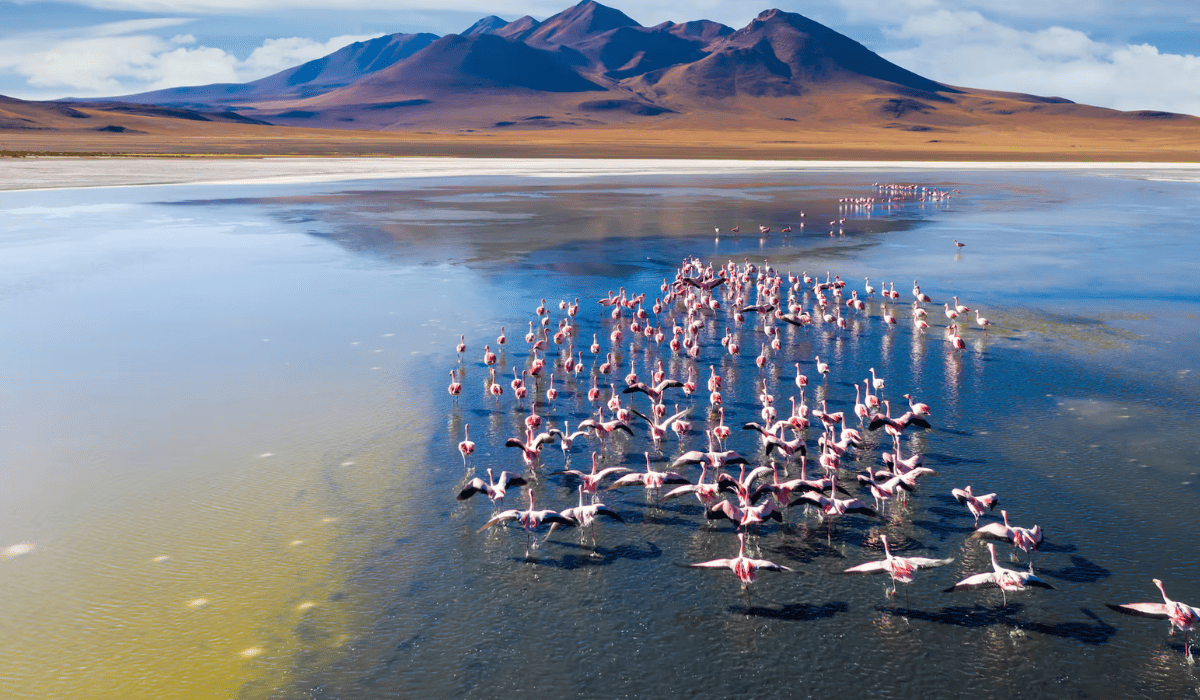 SALAR DE UYUNI - Tour de 3 Dias